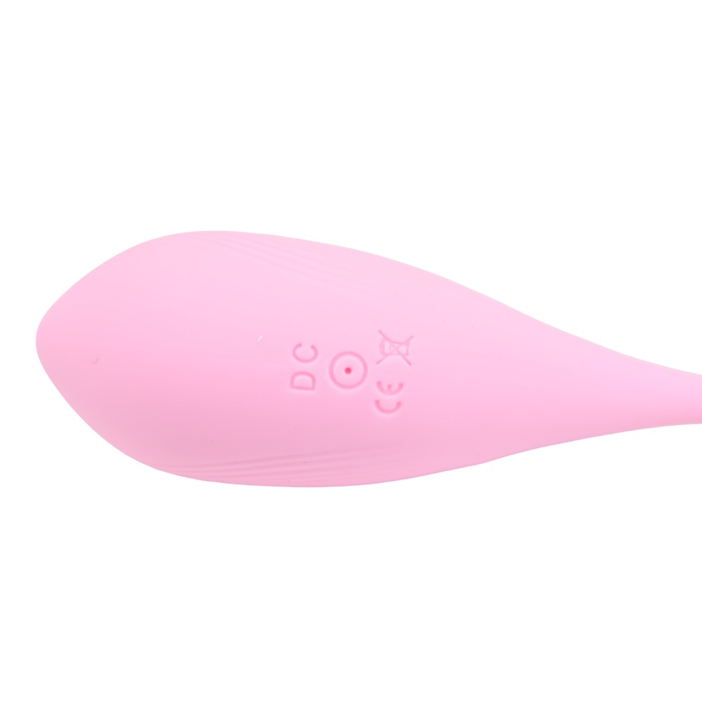 Loving Joy Remote Controlled Vibrating Egg - Image 5